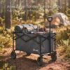 Berger Torrent Bollerwagen grau