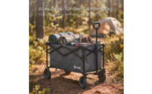 417408 - Berger Bollerwagen Torrent grau