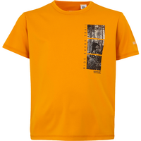 Regatta Alvarado IX Kinder T-Shirt