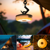 Berger 2in1 Lanterne de camping et guirlande lumineuse
