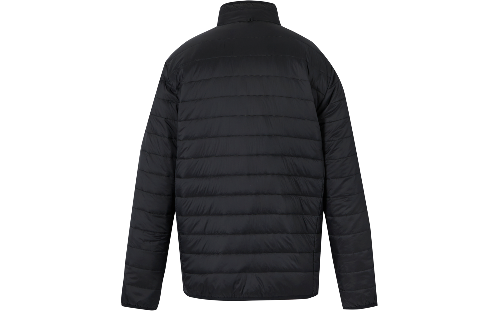 Schwarze gesteppte Jacke, Rückansicht, Stehkragen, lange Ärmel, weißer Hintergrund