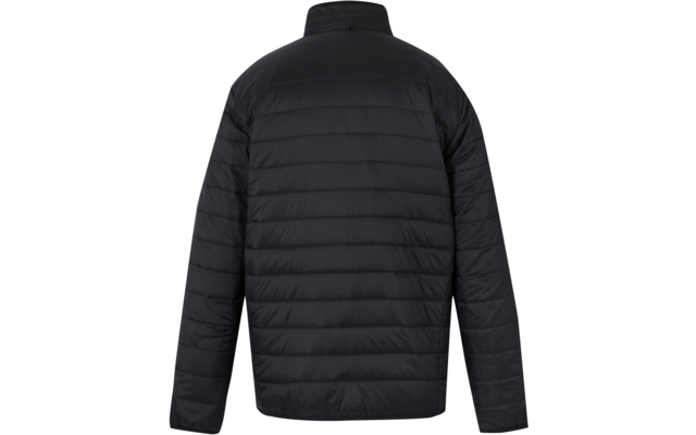 Schwarze gesteppte Jacke, Rückansicht, Stehkragen, lange Ärmel, weißer Hintergrund