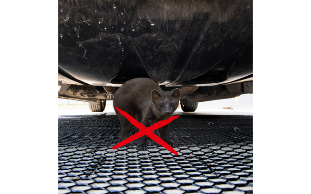 Een kat zit onder een voertuig op een roosteroppervlak, met een rood kruis over de kat