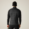 Person von hinten, trägt schwarze gesteppte Weste, schwarzes Langarmshirt, schwarze Mütze und schwarze Hose, hält eine grüne Jacke in der linken Hand; heller einfarbiger Hintergrund