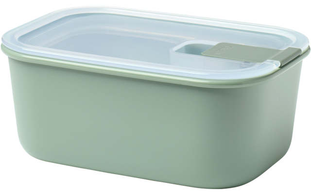 Rechteckige hellgrüne Kunststoff-Aufbewahrungsbox mit transparentem Deckel und kleinem Verschluss am Deckelrand