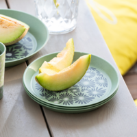 Koziol Blomster diep bord 20,5 cm stapelbaar / robuust / vaatwasmachinebestendig natuur blad groen margriet