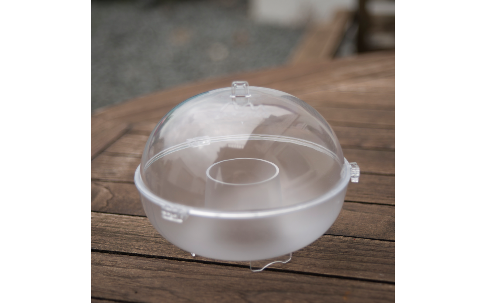 Transparente Plastikhaube auf weißem Teller, steht auf Holztisch
