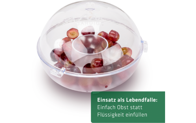 Durchsichtige Fruchtfalle mit roten Trauben, darunter ein grünes Schild mit Text