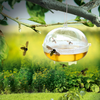 Ein transparenter Insektenfänger hängt an einem Baumzweig, zwei Bienen fliegen davor