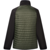 Rückenansicht einer Jacke mit olivgrünem, gestepptem Rücken, schwarzen Ärmeln und Stehkragen