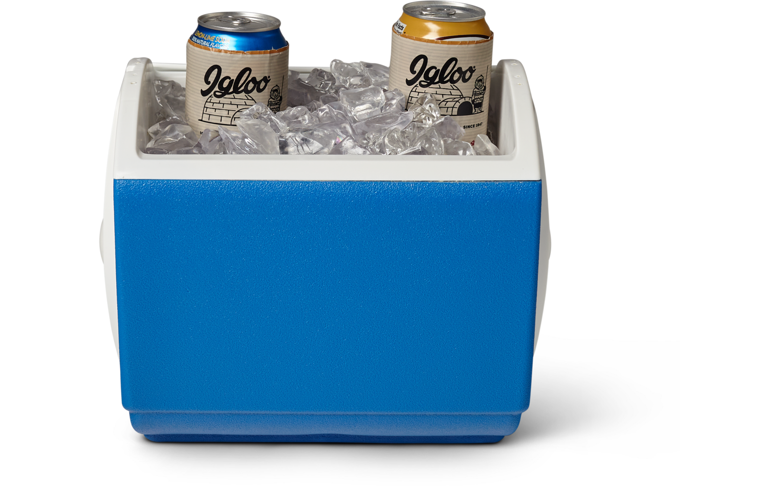 Blaue rechteckige Kühlbox mit weißem Rand, gefüllt mit Eiswürfeln und zwei Aluminiumdosen mit der Aufschrift Igloo; eine Dose hat einen blauen Deckel, die andere einen goldfarbenen Deckel