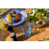 Wooden table with a glass bowl of salad, a blue plate with a corn on the cob, a piece of meat and vegetables, a clear glass with blue dots, and two bottles