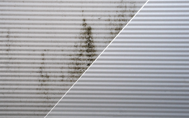 Produktbild Berger Gr&uuml;nbelag und Algenentferner 500 ml 1