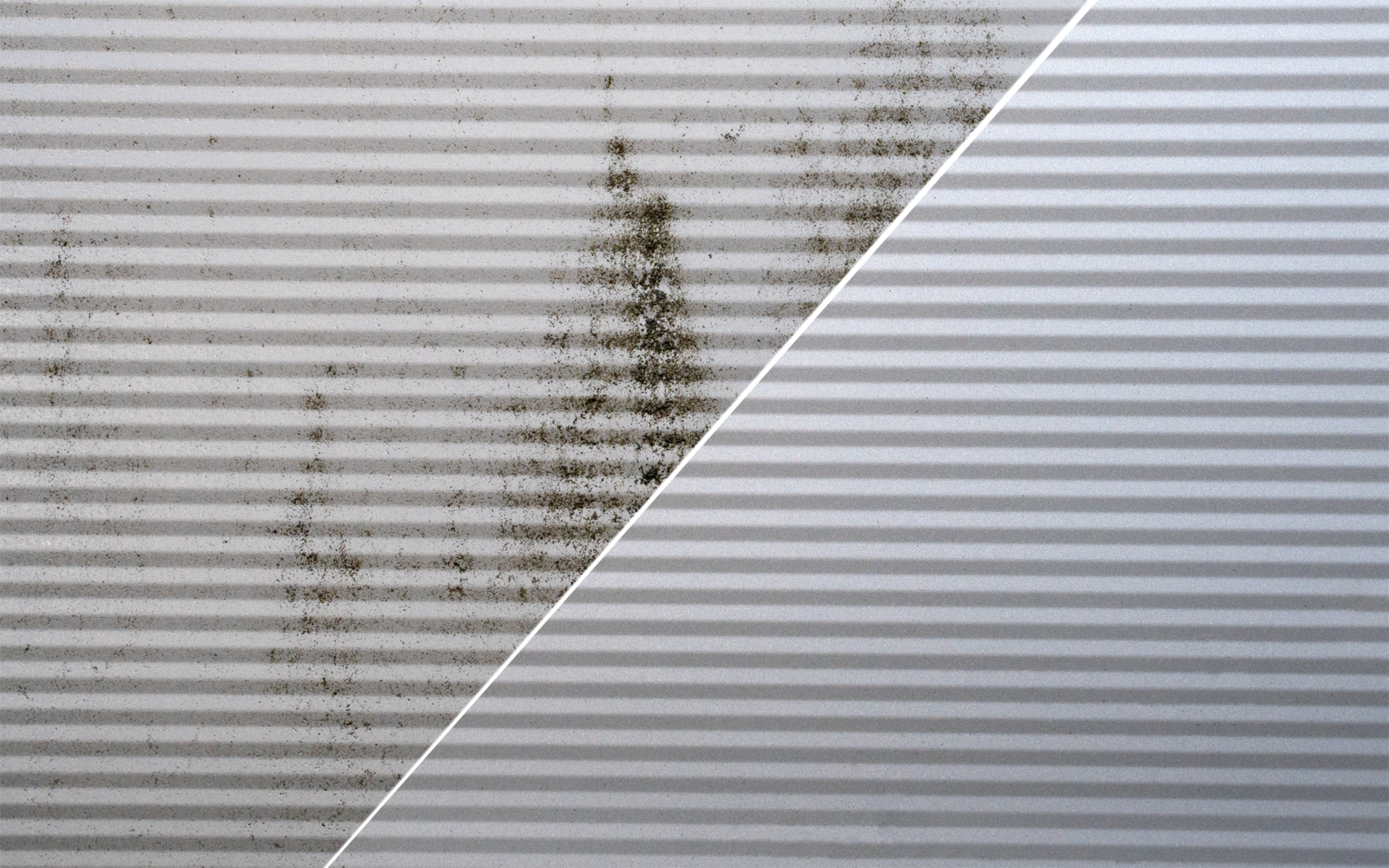 Produktbild Berger Gr&uuml;nbelag und Algenentferner 500 ml 1