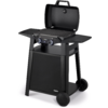 Schwarzer Gasgrill auf Wagen mit offenem Deckel, zwei Knöpfen, Seitentischen und zwei Rädern