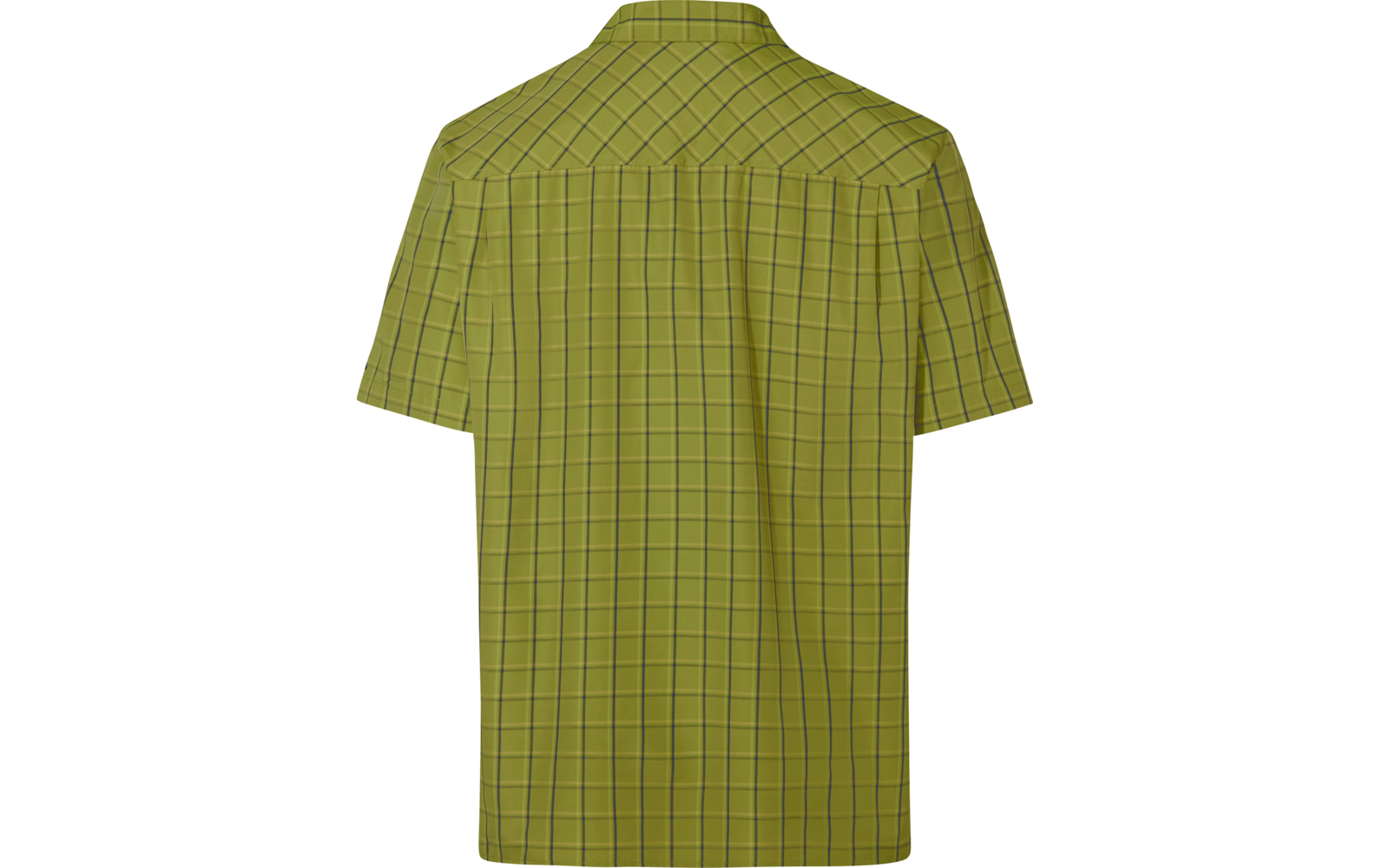 Rückenansicht eines kurzärmligen Hemds mit Kragen in olivgrün, kariertes Muster aus dünnen dunklen Linien, horizontale Rückenpasse, gerader Saum