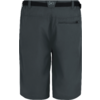 Dunkelgraue Shorts, Rückansicht, Taillenbund mit Gürtelschlaufen, kleines quadratisches Logo mittig hinten, rechte Gesäßtasche mit Reißverschluss