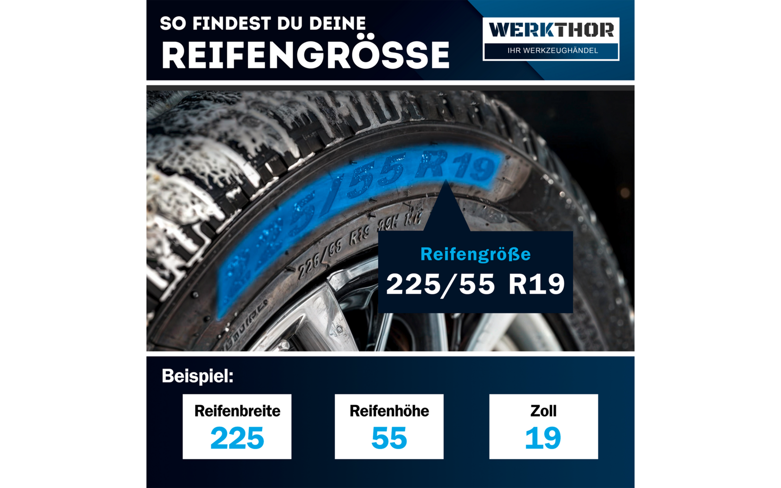 Nahaufnahme eines Autoreifens mit blauer Markierung '225/55 R19'. Oben Schriftzug 'SO FINDEST DU DEINE REIFENGRÖSSE', rechts Logo 'WERKTHOR IHR WERKZEUGHÄNDLER'. Unten drei Kästchen: 'Reifenbreite 225', 'Reifenhöhe 55', 'Zoll 19'