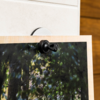 Top edge of a light wood frame with a dark photo area of green tree leaves, attached with a black plastic hook to a white wall; right edge shows brown wood paneling