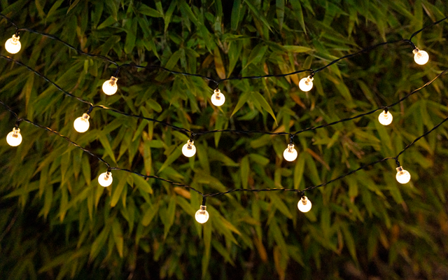 Lichterkette mit kleinen Glühbirnen vor grünen Blättern