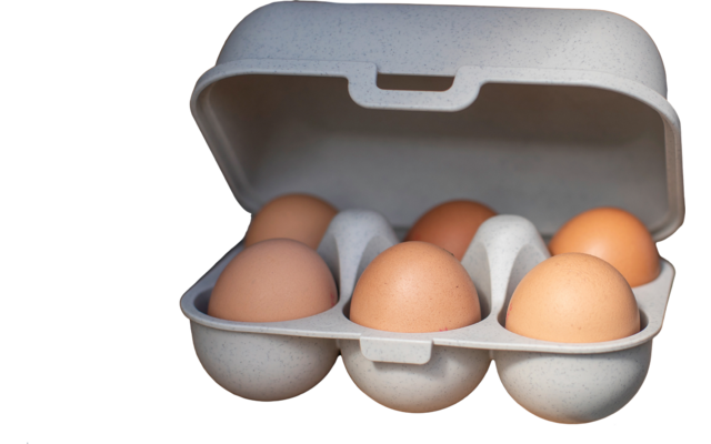 Koziol Eierdoos Eggs to go mini 6st woestijnzand