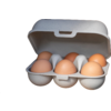 Koziol Egg Box Eggs to go mini 6pcs desert sand