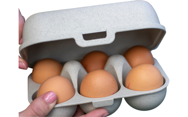 Koziol Egg Box Eggs to go mini 6pcs desert sand