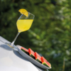 Tilted wine glass with yellow drink and lemon wedge on the rim; beside it a white plate with sliced watermelon pieces; blurred green background