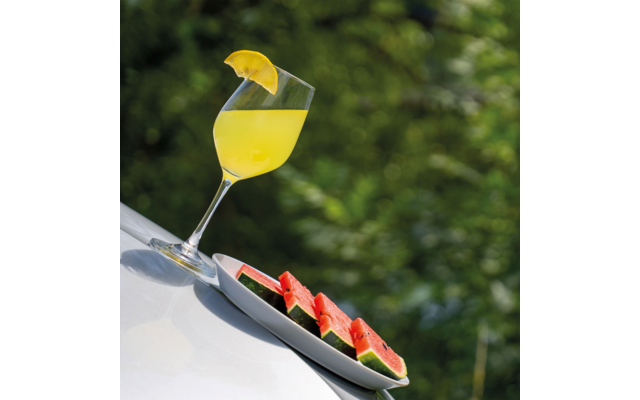 Tilted wine glass with yellow drink and lemon wedge on the rim; beside it a white plate with sliced watermelon pieces; blurred green background