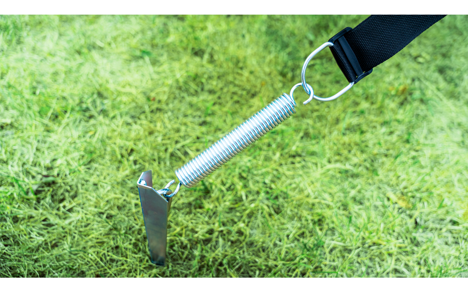 Spring tensioner attached to a black strap, fixed to the ground in the grass