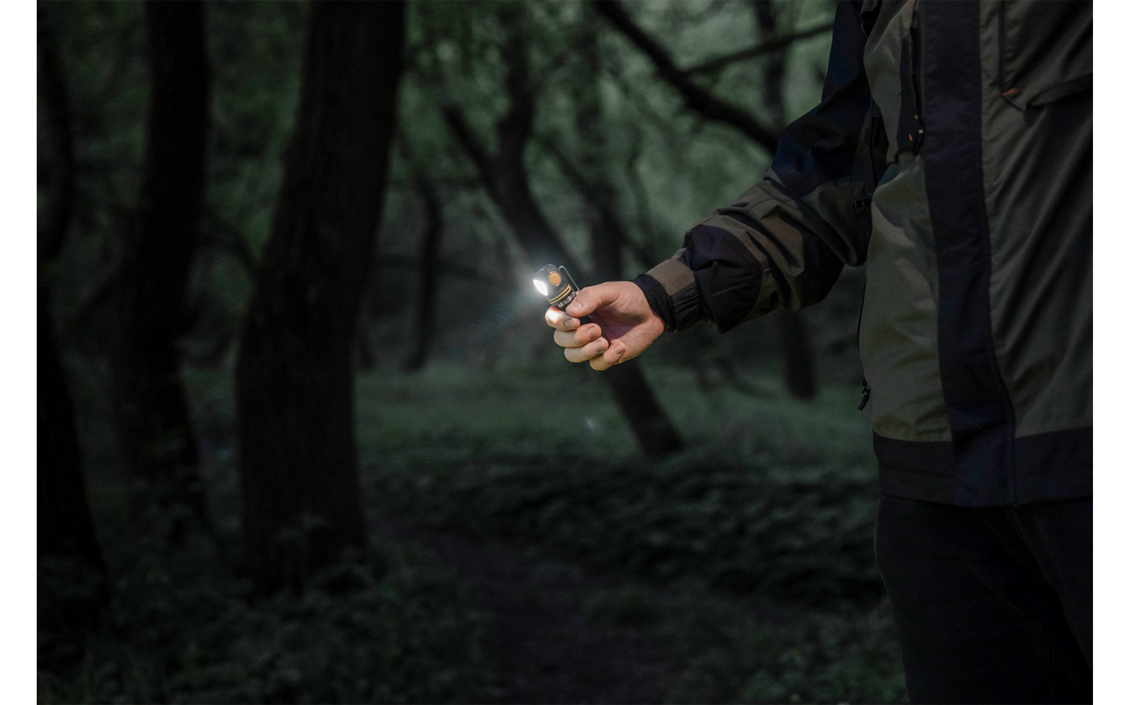 Hand hält eine leuchtende Taschenlampe in einem dunklen Wald