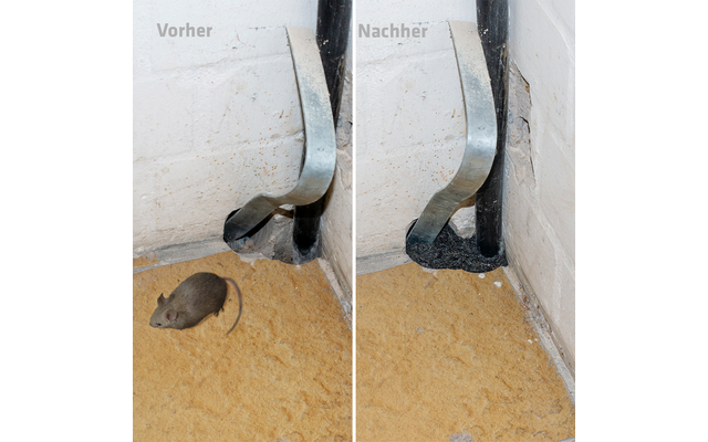 Twee naast elkaar geplaatste afbeeldingen tonen een rat op een zandige grond voor een pijp, met de woorden 'Voor' en 'Na' erboven