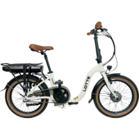 Blaupunkt Lotte faltbares E-Bike 20 Zoll 250W