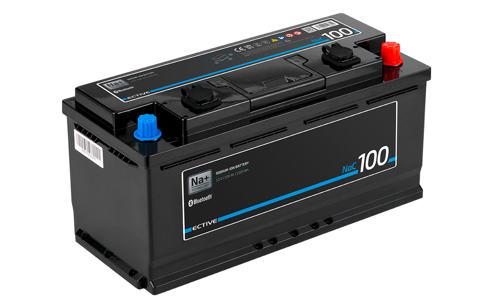 Schwarze rechteckige Batterie mit Aufklebern und blauem Streifen, zwei schwarzen Verschlusskappen oben, ein roter und ein blauer Anschluss, weiße Zahl '100' auf der Seite
