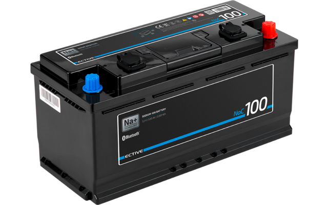 Schwarze rechteckige Batterie mit Aufklebern und blauem Streifen, zwei schwarzen Verschlusskappen oben, ein roter und ein blauer Anschluss, weiße Zahl '100' auf der Seite