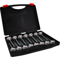 Set di picchetti per il pavimento della tenda Berger StrongPeg, 15 pezzi