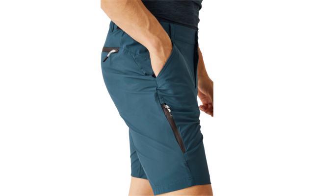 Pantaloncini da uomo Regatta Travel Light Packaway