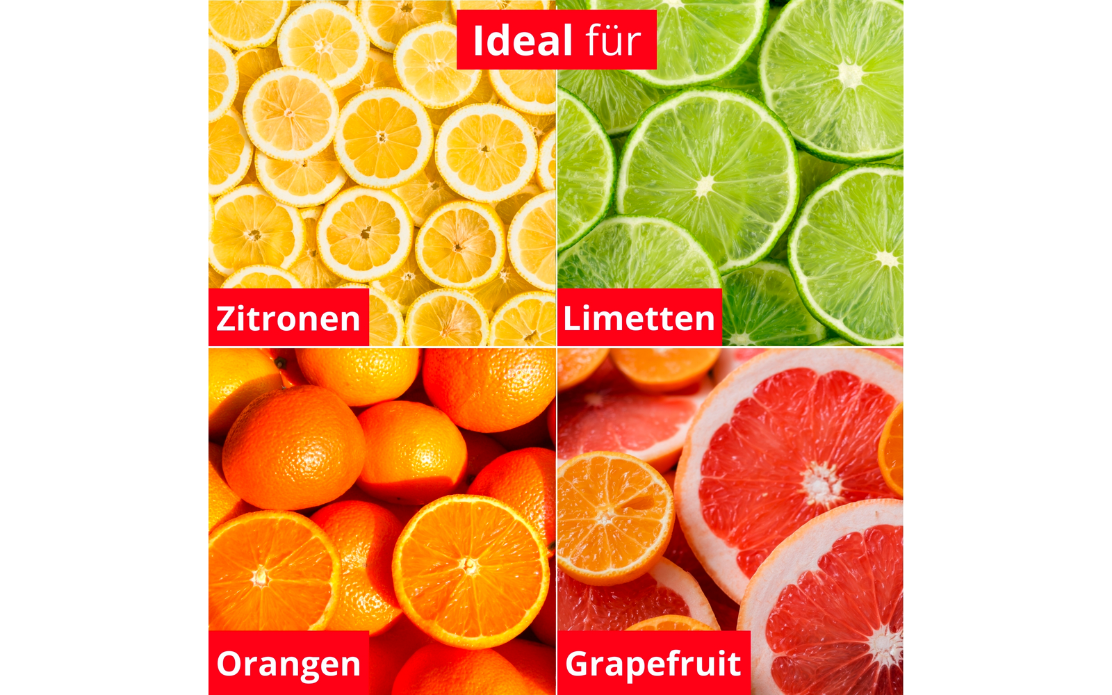 Collage de quatre carrés : en haut à gauche tranches de citron, en haut à droite tranches de lime, en bas à gauche oranges entières et coupées en deux, en bas à droite pamplemousses coupés en deux ; étiquettes rouges avec texte blanc 'Ideal für', 'Zitronen', 'Limetten', 'Orangen', 'Grapefruit'