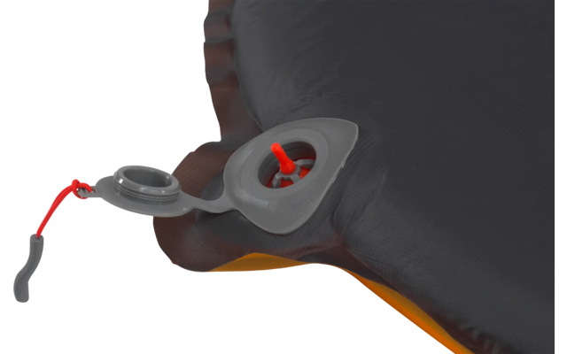 Nahaufnahme einer Robbe mit roten Augen am Kopf