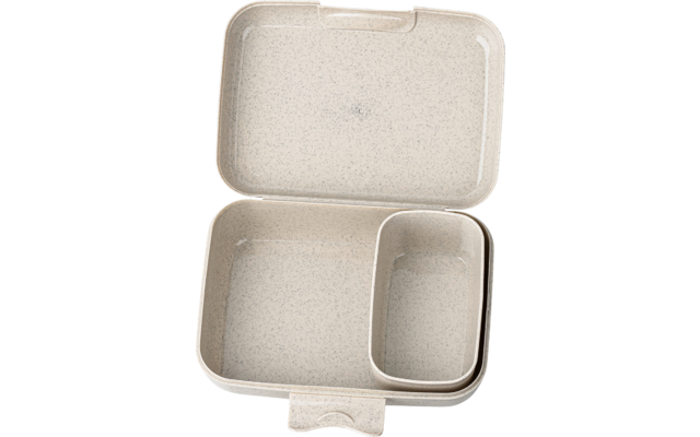 Produktbild Koziol Candy L Lunchbox mit Trennschale 19 x 13,5 x 6,5 cm 1