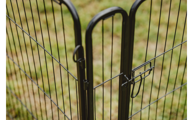 Schwarzes Metalltor mit Riegel, vertikale Stäbe, Gras im Hintergrund