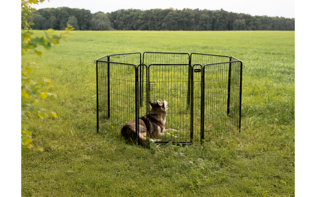 Braun-weißer Hund liegt in einem runden schwarzen Metallauslauf auf einer Grasfläche, im Hintergrund Bäume