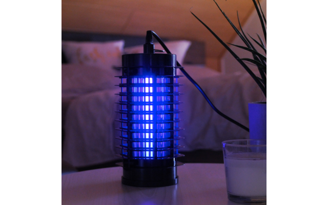 Elektronische Insektenfalle mit blau leuchtendem Licht neben einer Pflanze und einem Glas