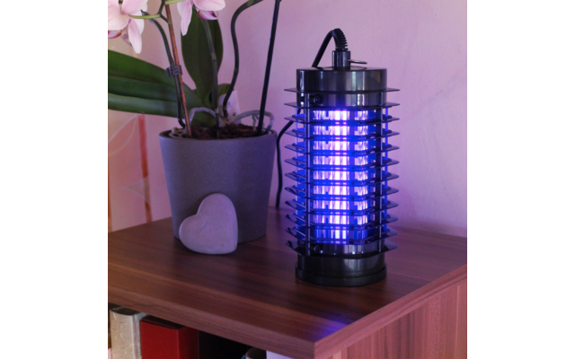 Schwarzes elektrisches Insektenvernichtungsgerät mit blauem Licht auf einem Holztisch neben einer Topfpflanze