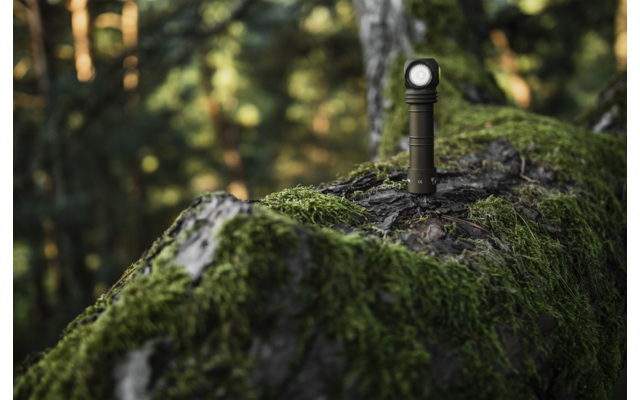 Metallstange auf moosbedecktem Baumstamm im Wald