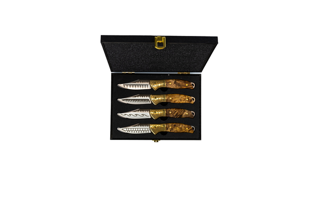 Homeys steak knife set of 4 19.8 cm silver/gold