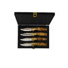 Homeys Steakmesser 4er Set 19,8 cm silber/gold
