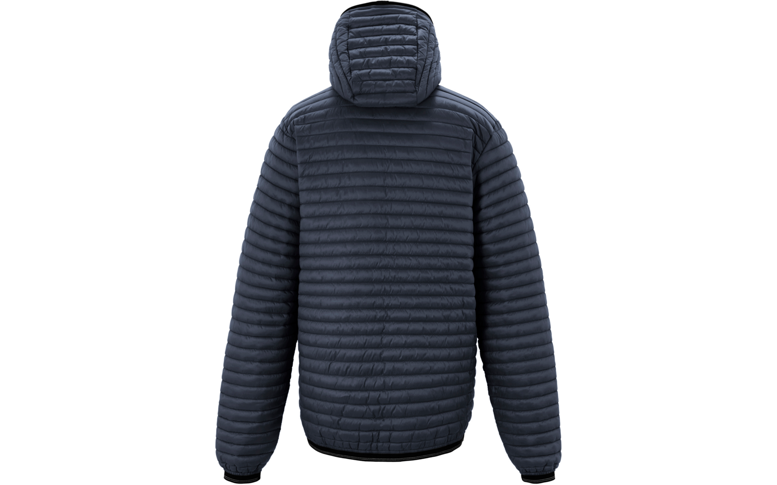 Rückansicht einer dunkelblauen Steppjacke mit Kapuze auf weißem Hintergrund