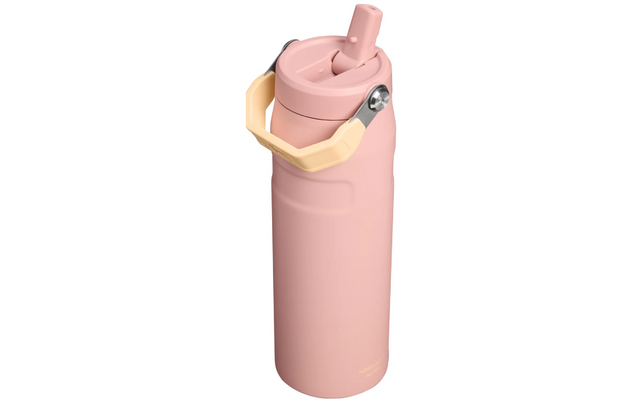 Rosa Trinkflasche mit Klappdeckel, sichtbarem Trinkstutzen, beigem klappbarem Henkel mit Metallgelenk und kleinem goldenen Schriftzug am unteren Rand