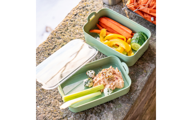 Produktbild Koziol Stakk Bentobox 2 Lunchboxset 3 teilig mit 2 Boxen / 1 Deckel 2 Liter  1